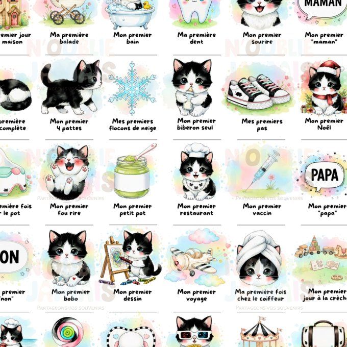Affiche mes premières fois personnalisable Chat Noir et Blanc