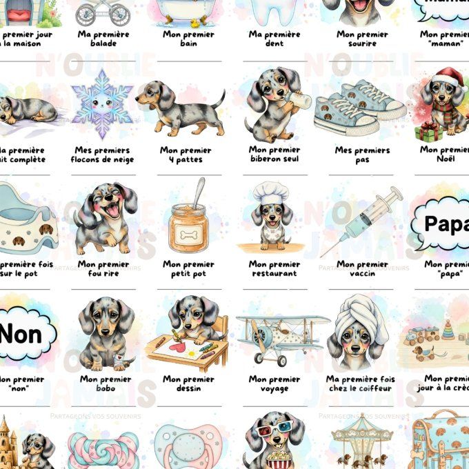 Affiche mes premières fois personnalisable Teckel