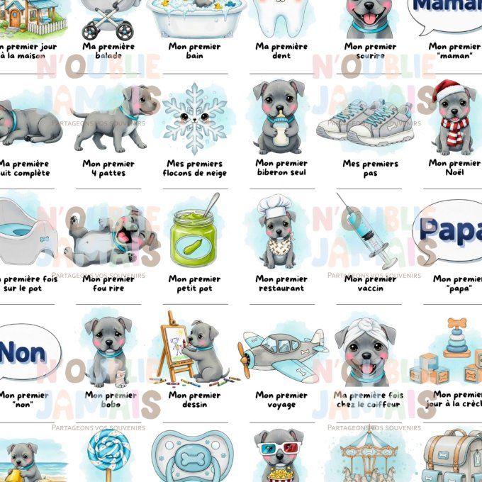 Affiche mes premières fois personnalisable American Staff